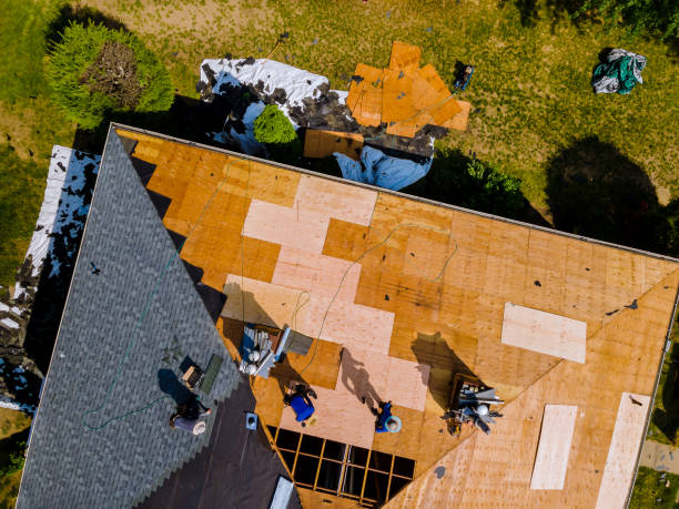 Best Roof Maintenance Services  in Noroton Heights, CT